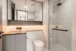 The Landmark (D3), Condominium #577340901